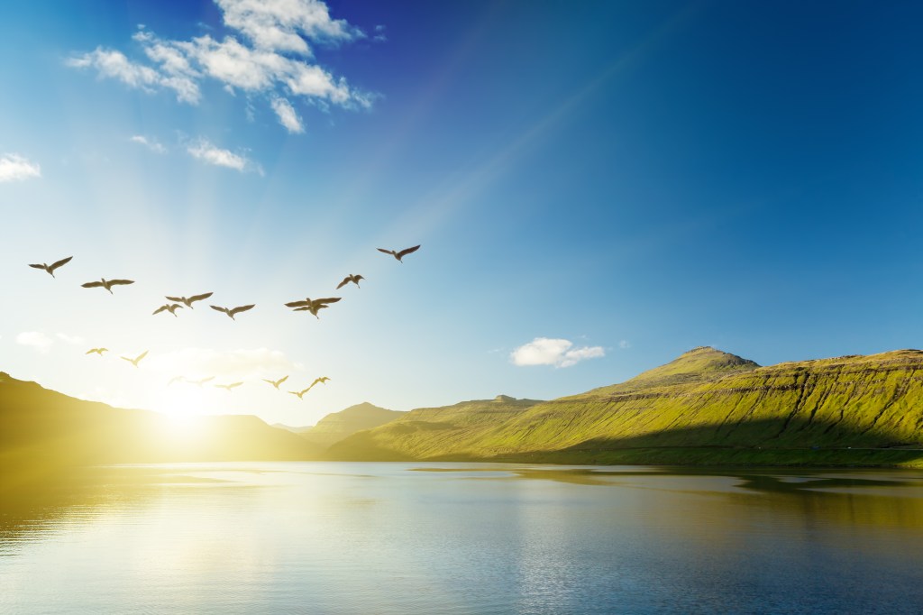 The Lake and your&nbsp;Reflection